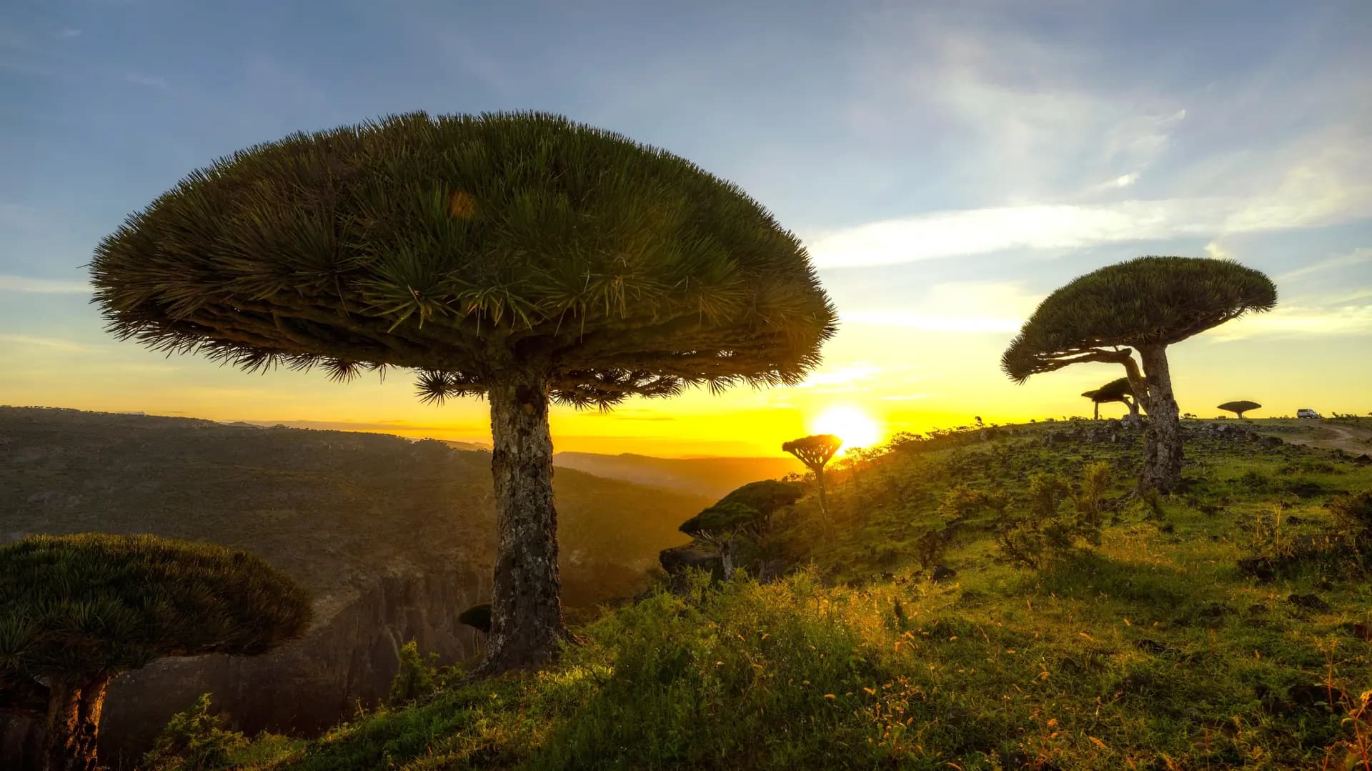Hadibo & plateau du Dixam