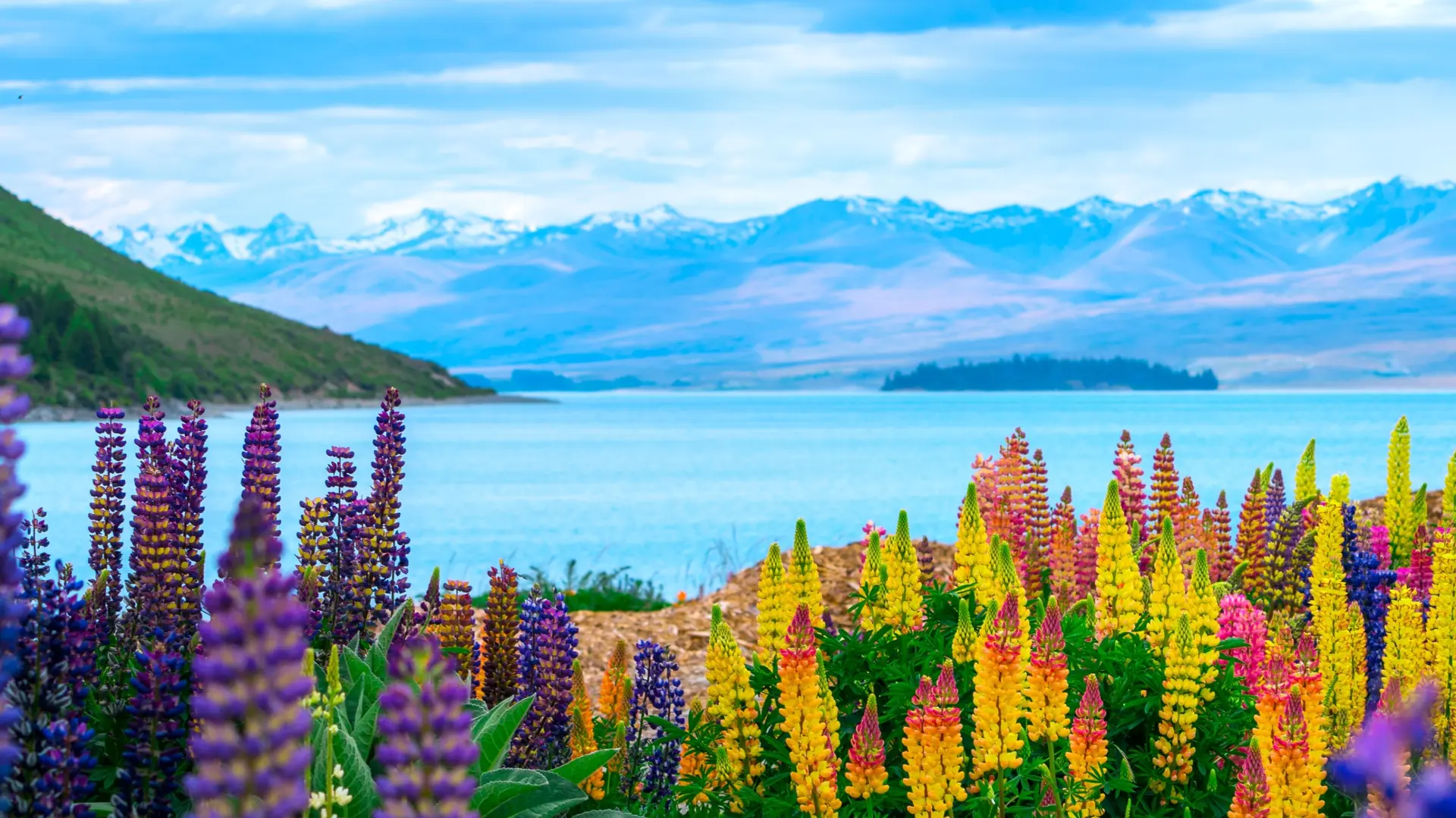 New Zealand