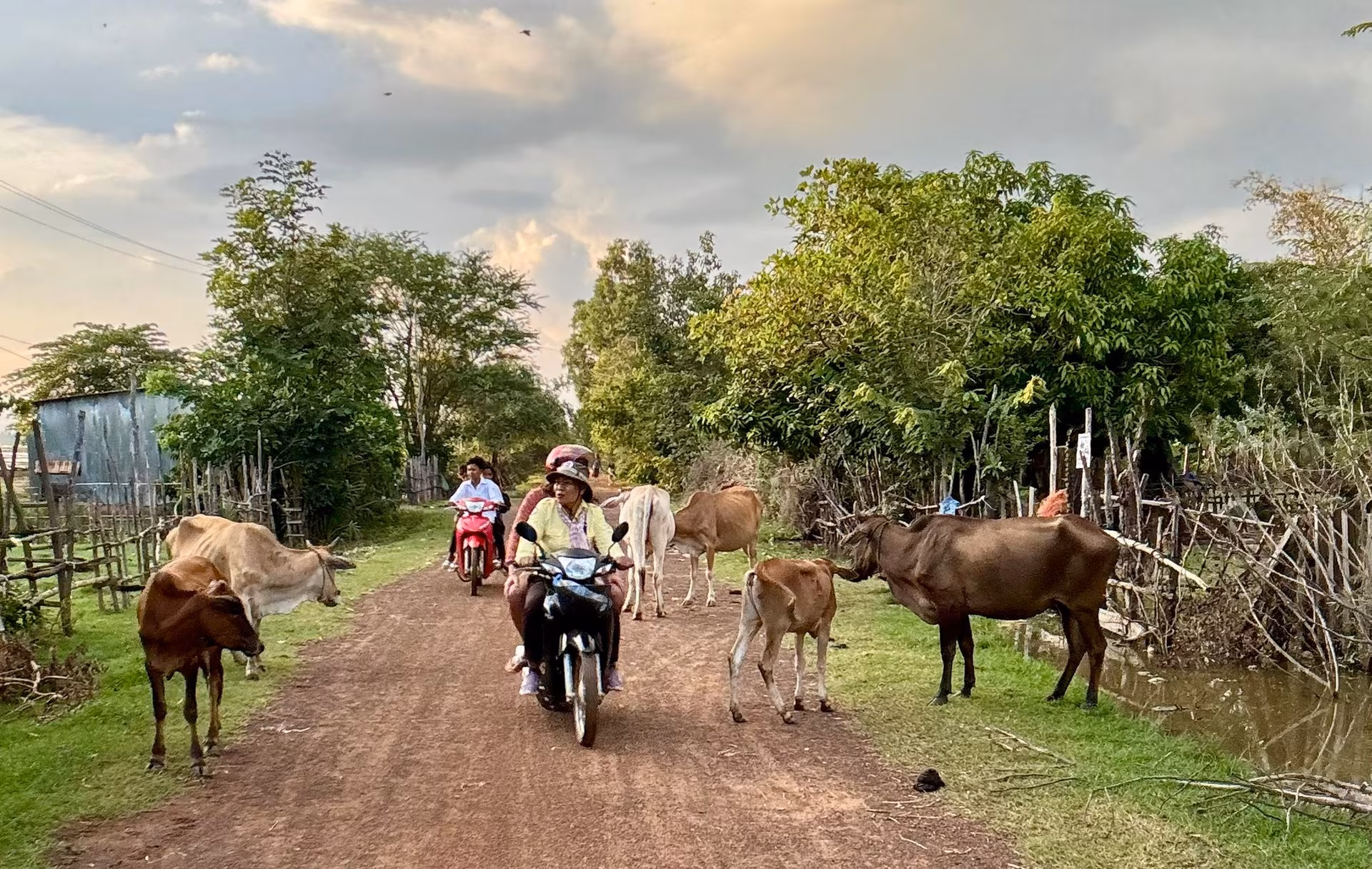 The Essentials of Cambodia
