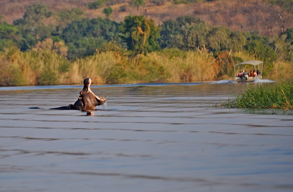 Loango, the kingdom of wildlife