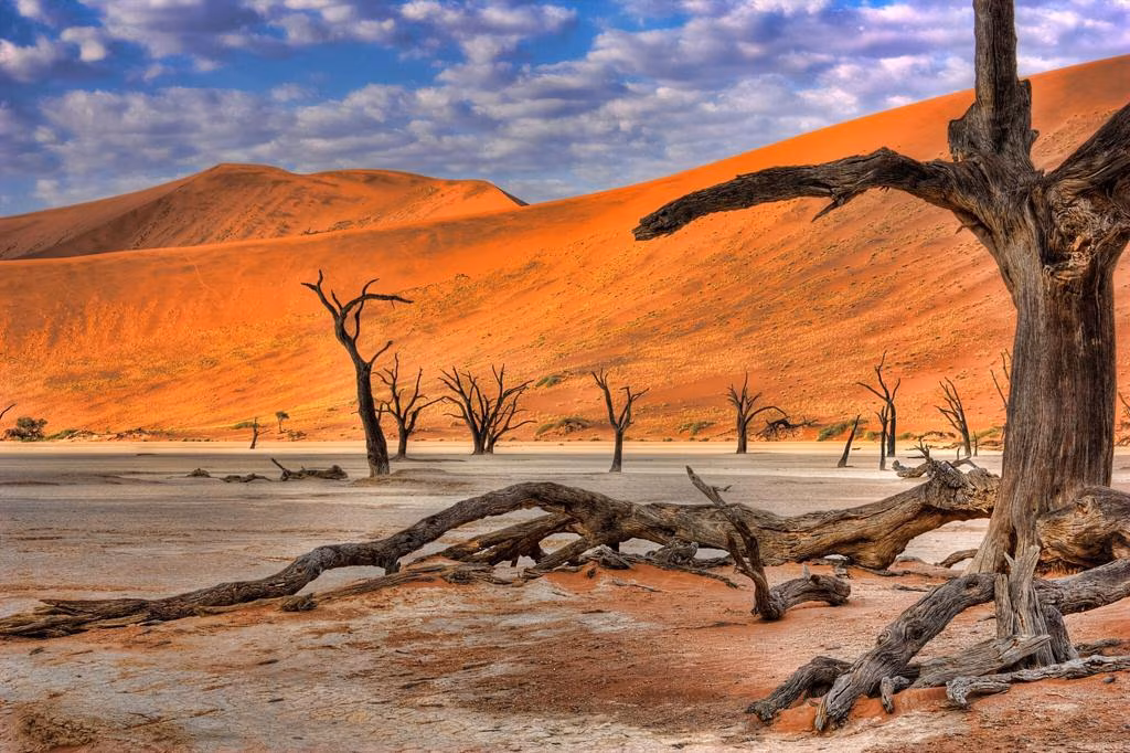 Namibia self-drive — Camping