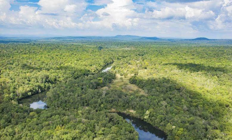 Trekking in Koh Kong & Beach
