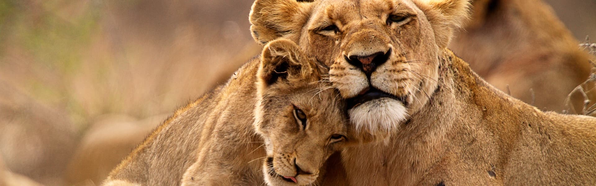 South Africa