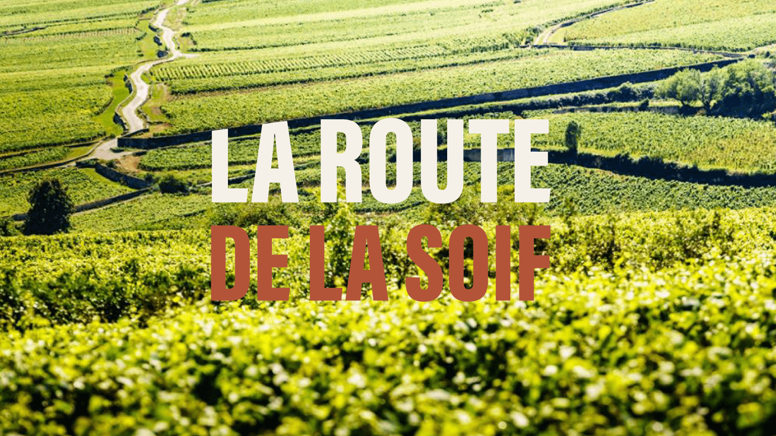 Beaune, Hiking and Burgundy Wines