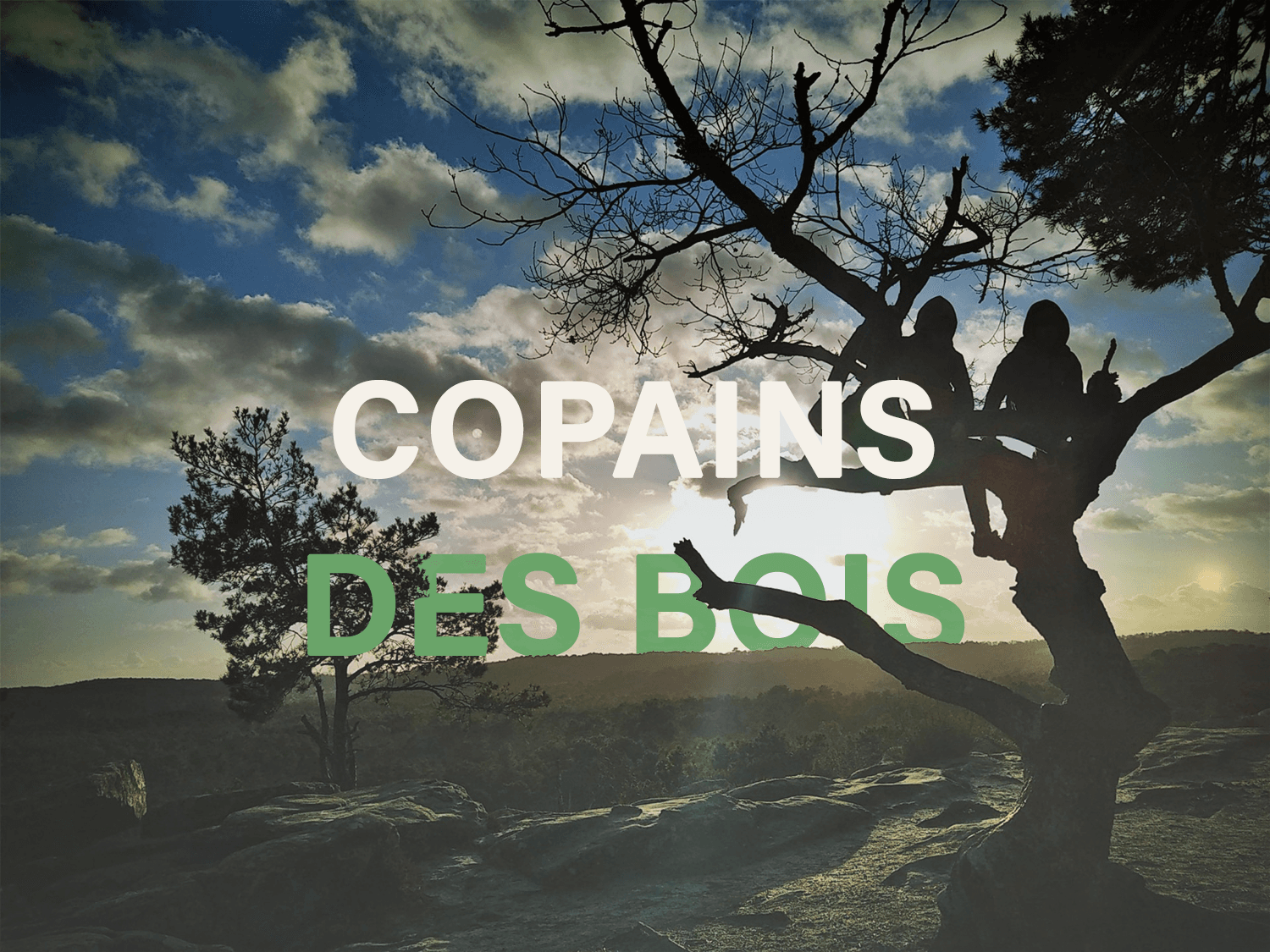 Multi-activity family weekend in Fontainebleau Forest