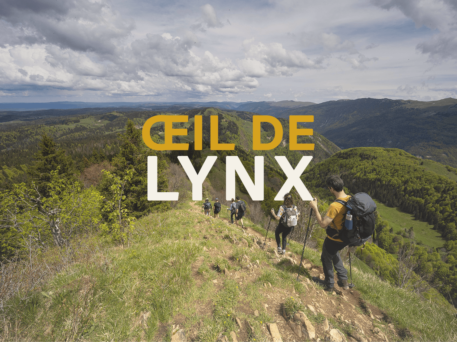 Sur les traces du lynx - Jura