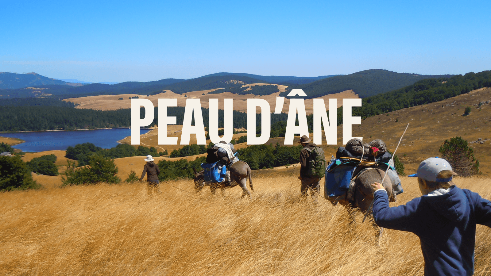 Hiking with a donkey in the Cévennes, following in Stevenson's footsteps