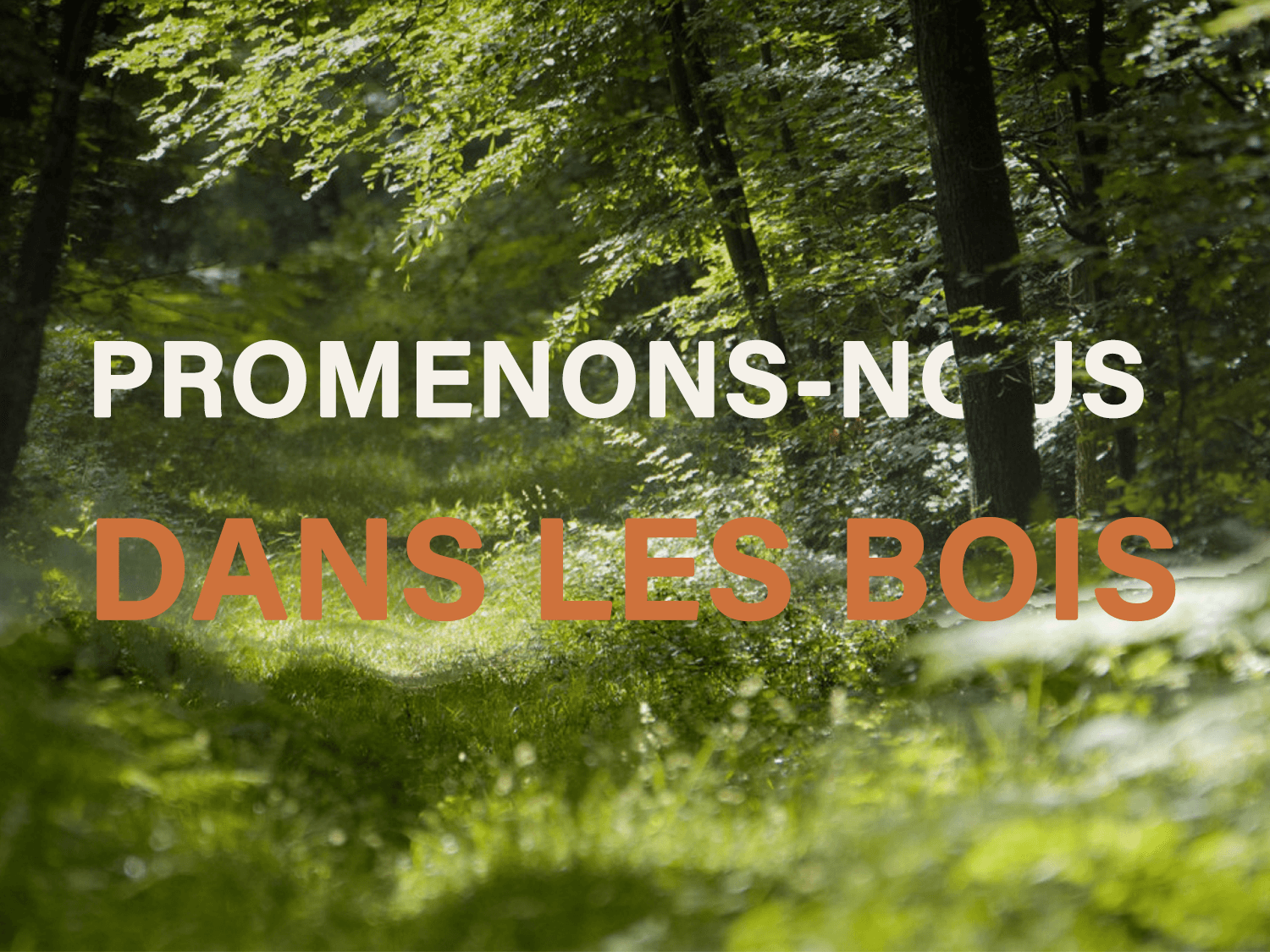 Weekend hiking and bivouacking in Fontainebleau Forest