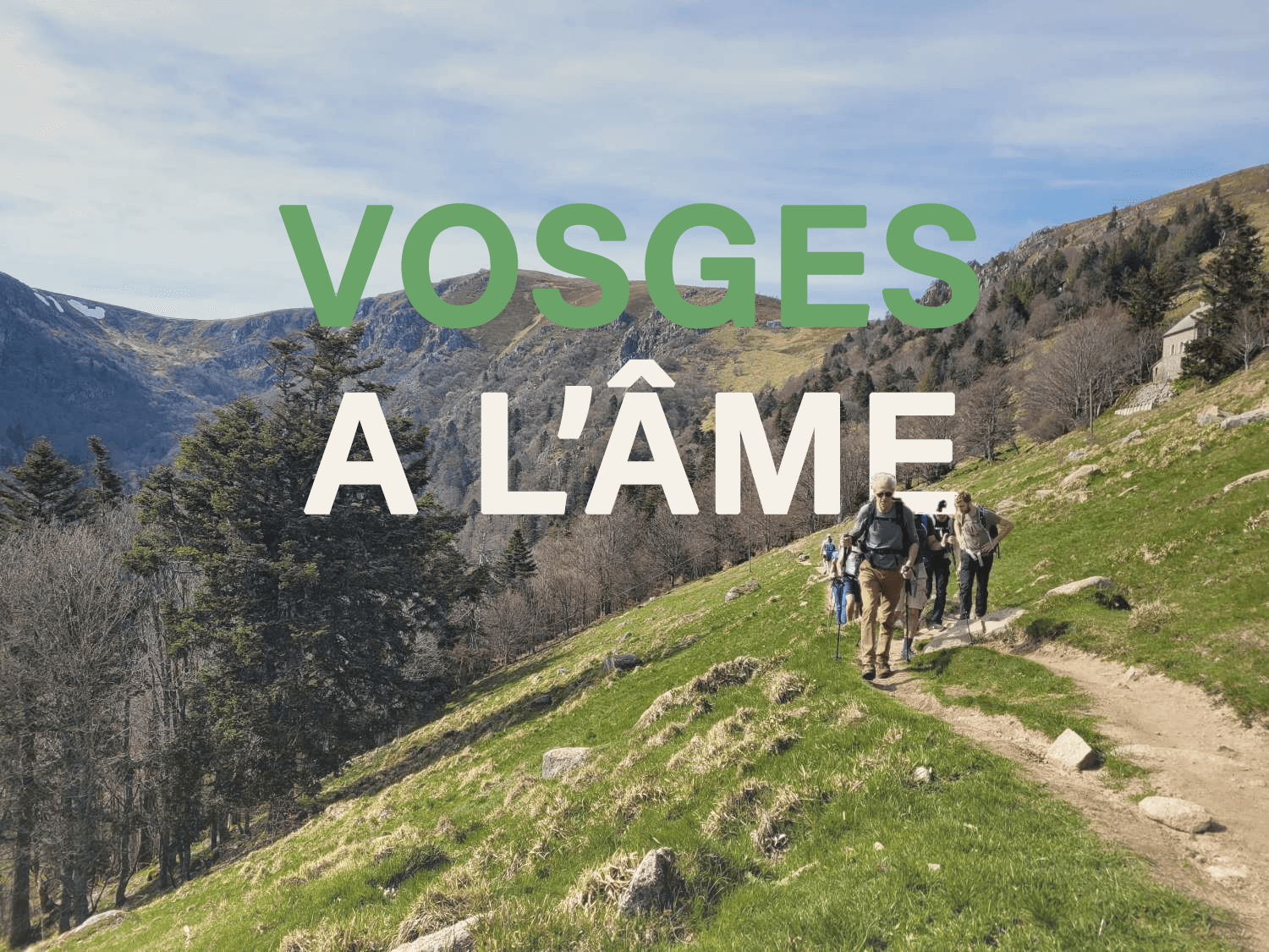 On the Vosges ridges, hiking, mountain hut and good food
