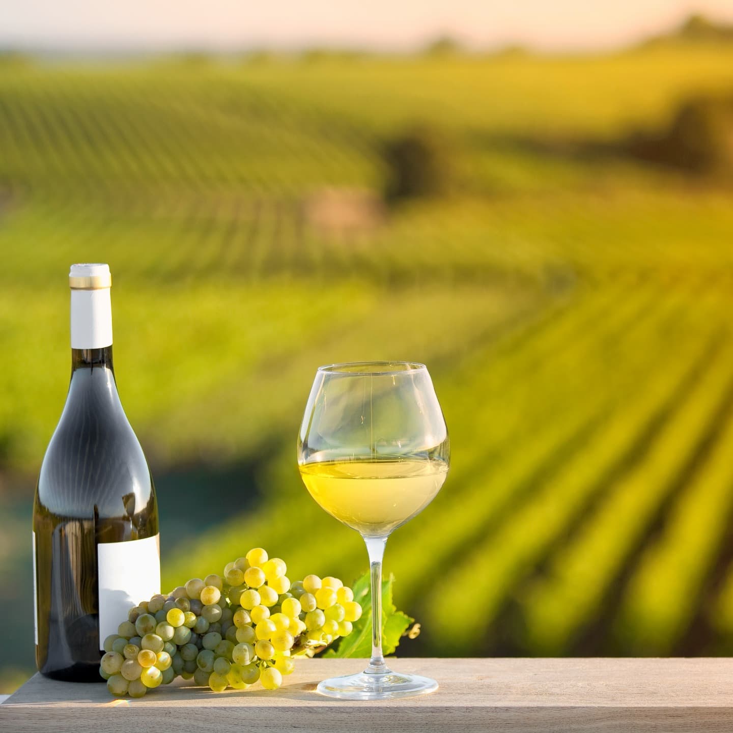 Alsatian Vineyards and Old Colmar