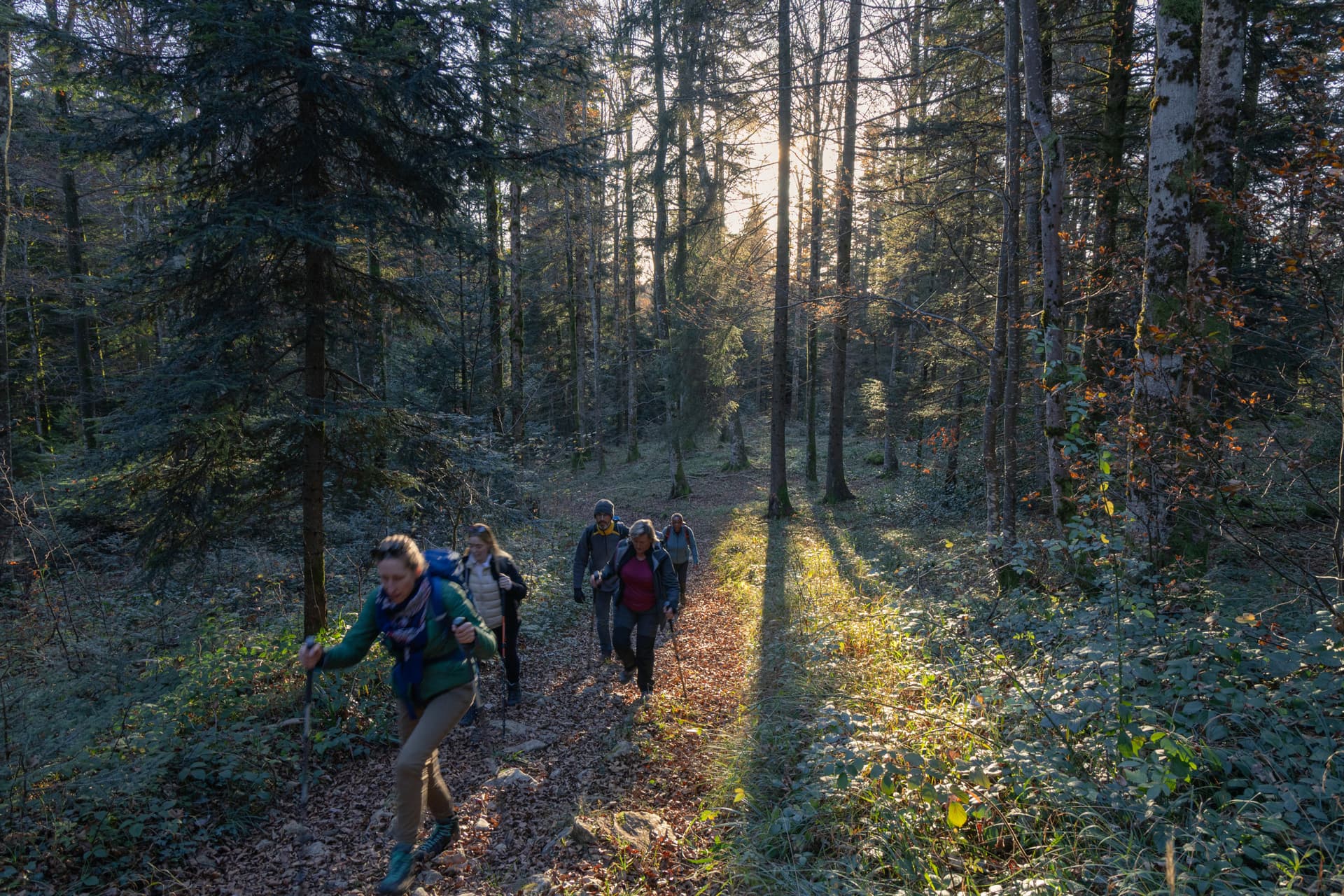 Return to ground for a hike