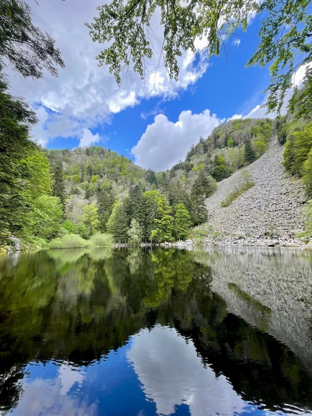 From the Munster valley to the refuge, first immersion in the Vosges