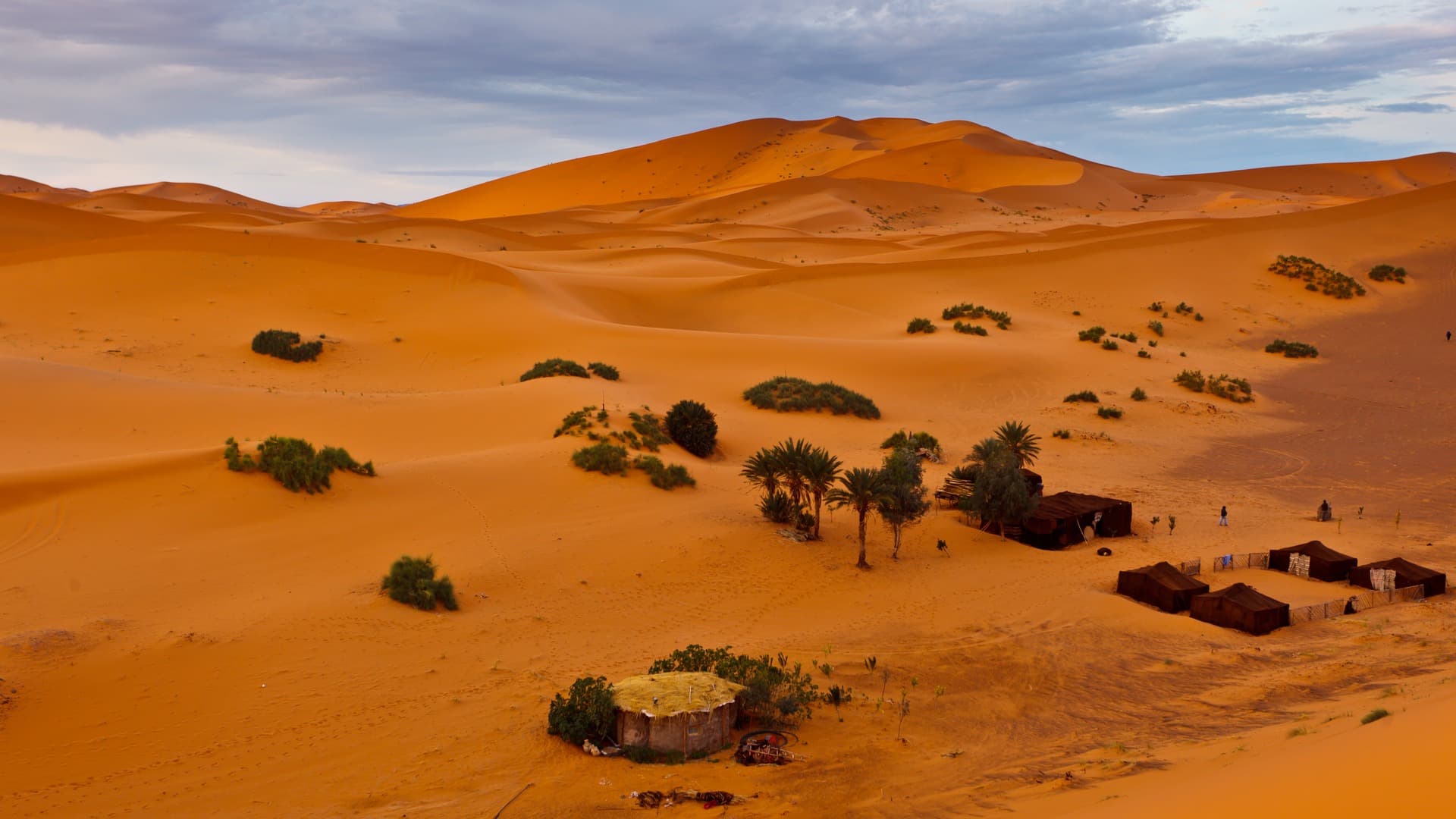 Bedouin Stay in the Sahara