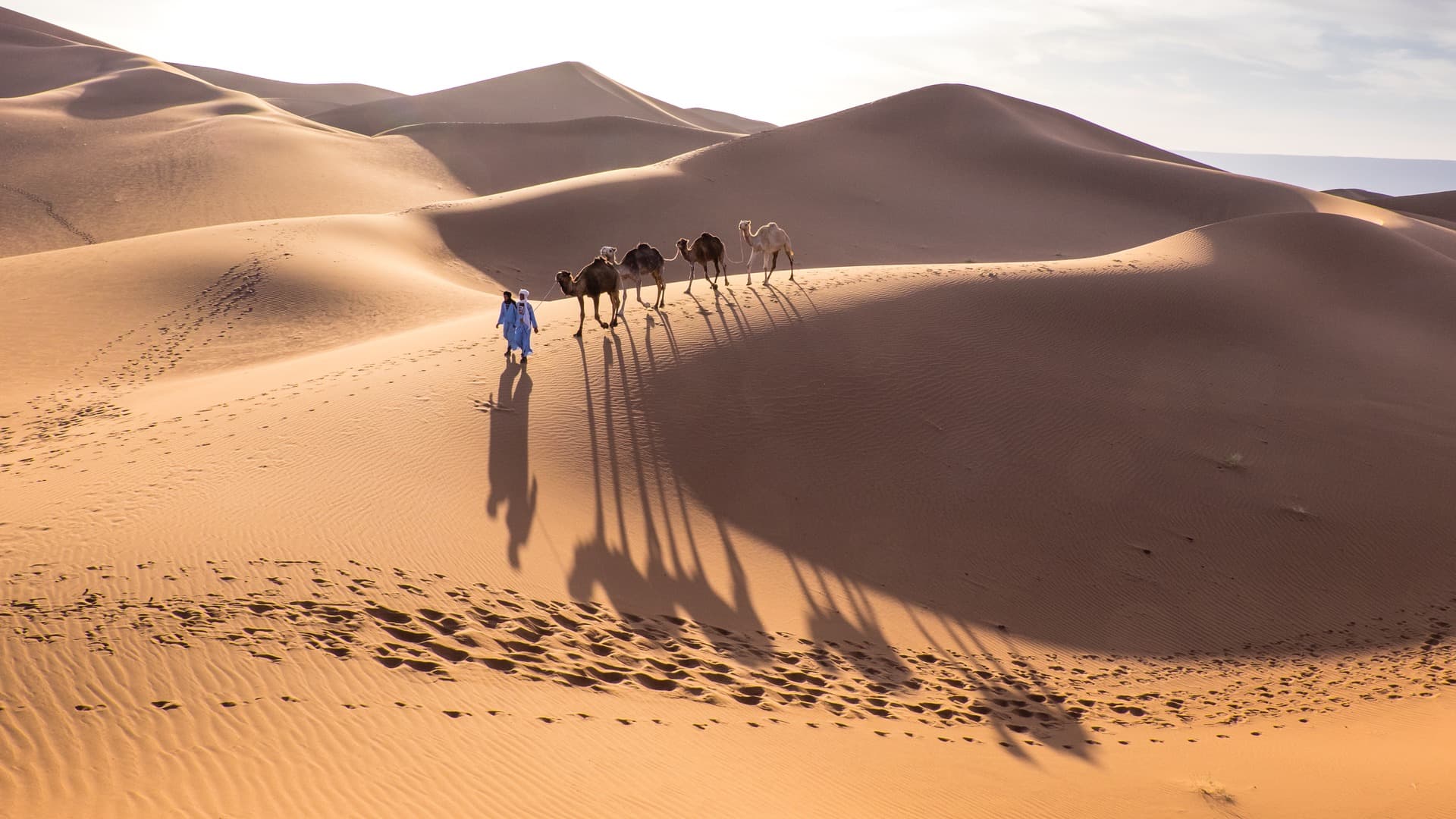 Adventure challenge, the call of the desert