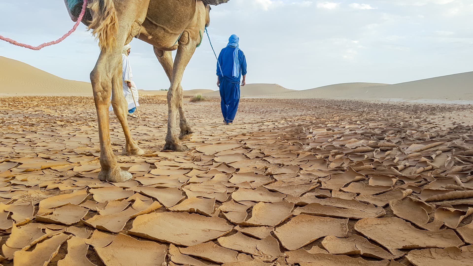 Desert Massages