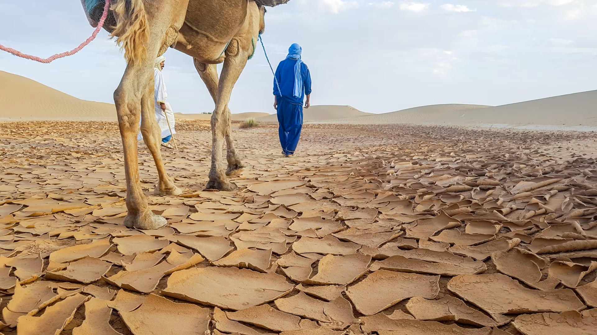 Desert Massages