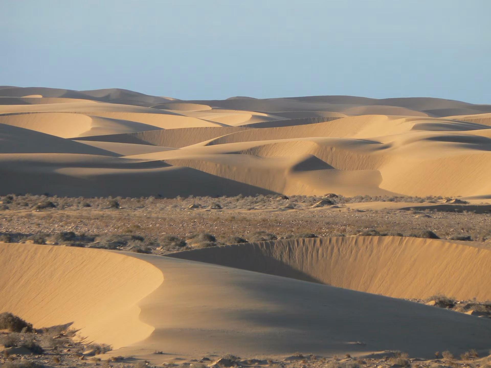 Starting off on the right foot in the Sahara