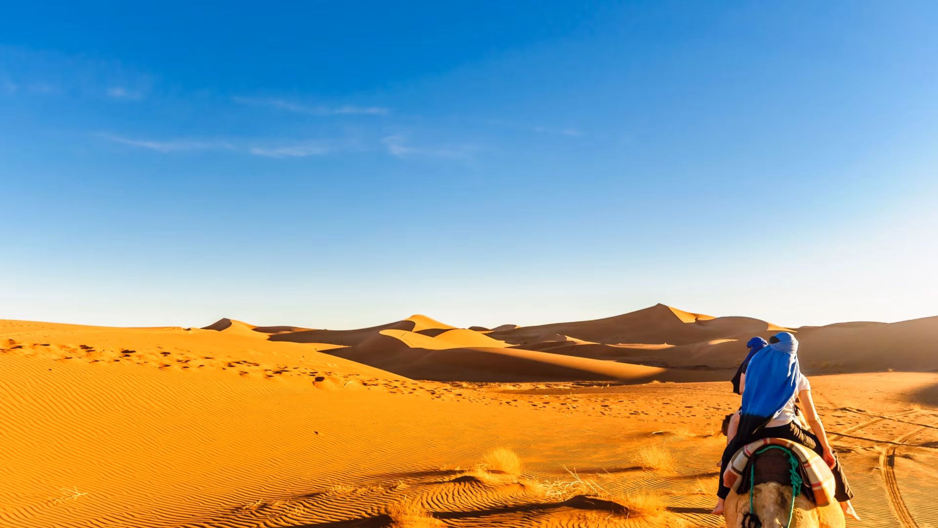 New Year's Eve in Nature in the Heart of the Desert