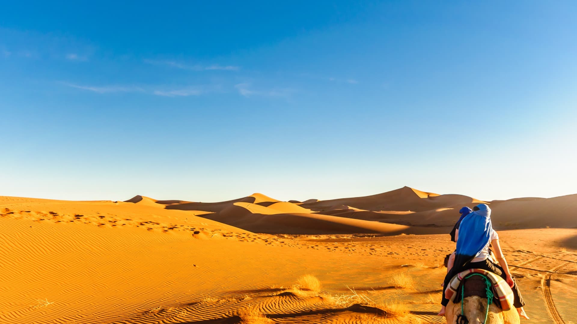 New Year's Eve in Nature in the Heart of the Desert