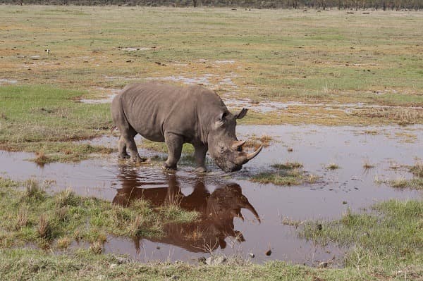 Jour 6