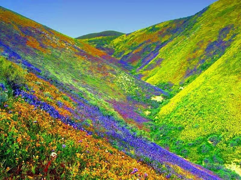 The trek of the valley of flowers