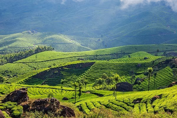 Adventures in Kerala