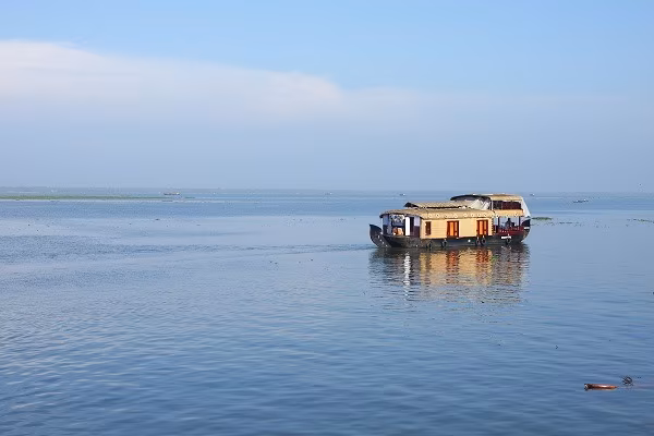 South India Beyond the Swamps
