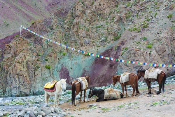 Stok Kangri with the Markha Valley
