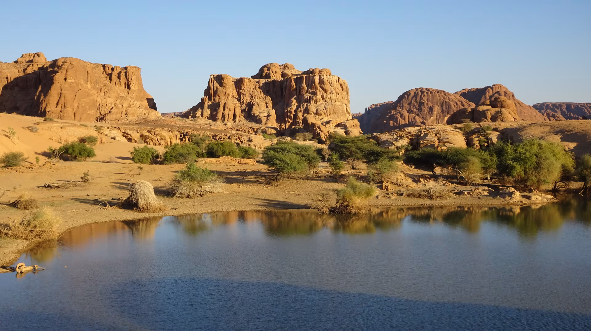 From the Ennedi to Zakuma Park