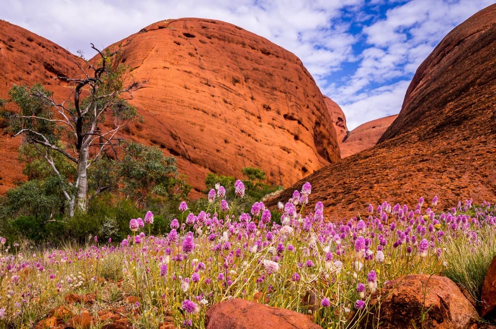 Colors of Australia