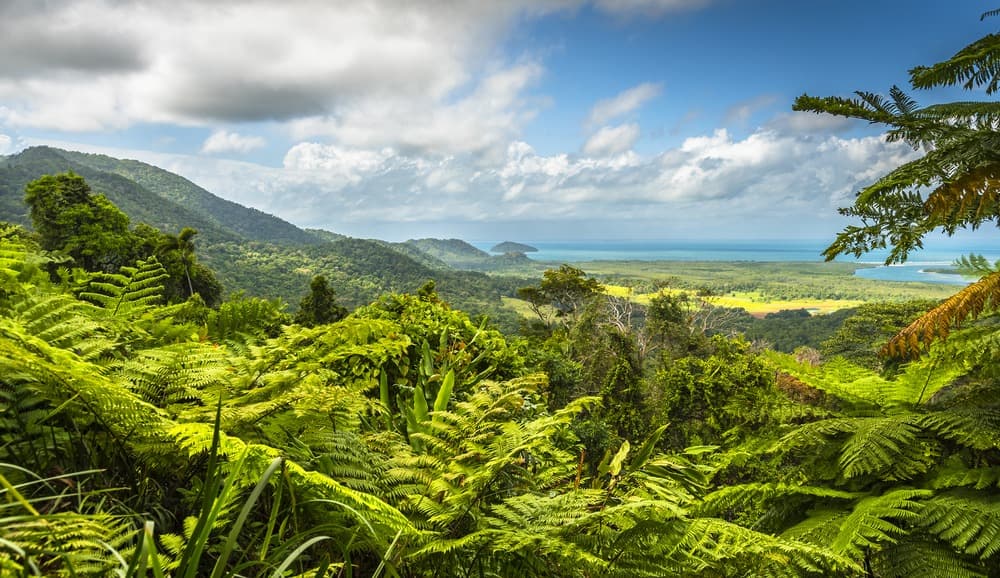 National parks, nature and dream beaches