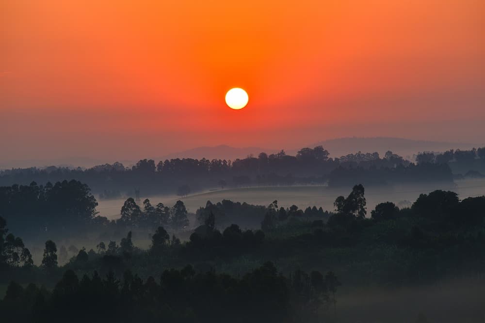 Les perles de l'Ouganda