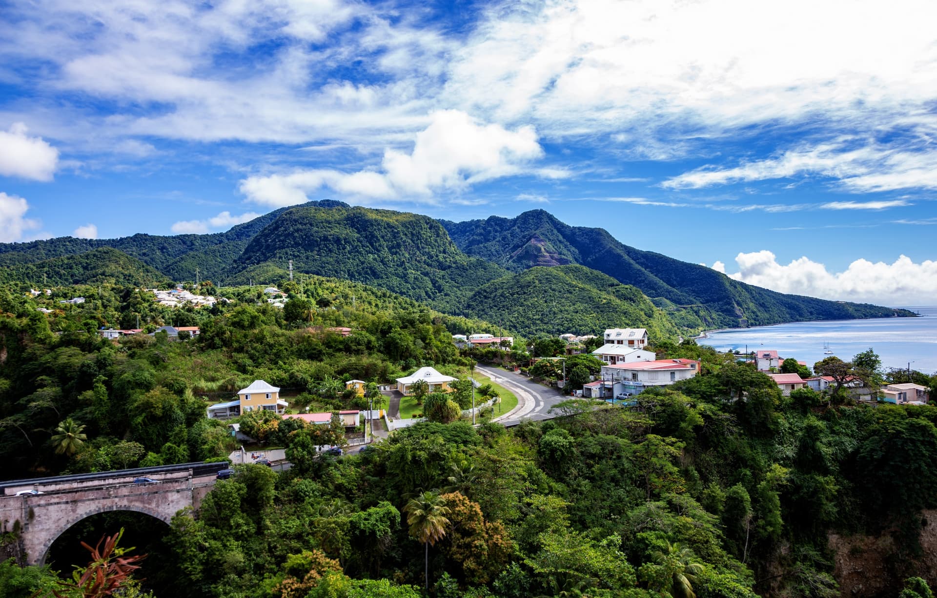 Full nature, full of green