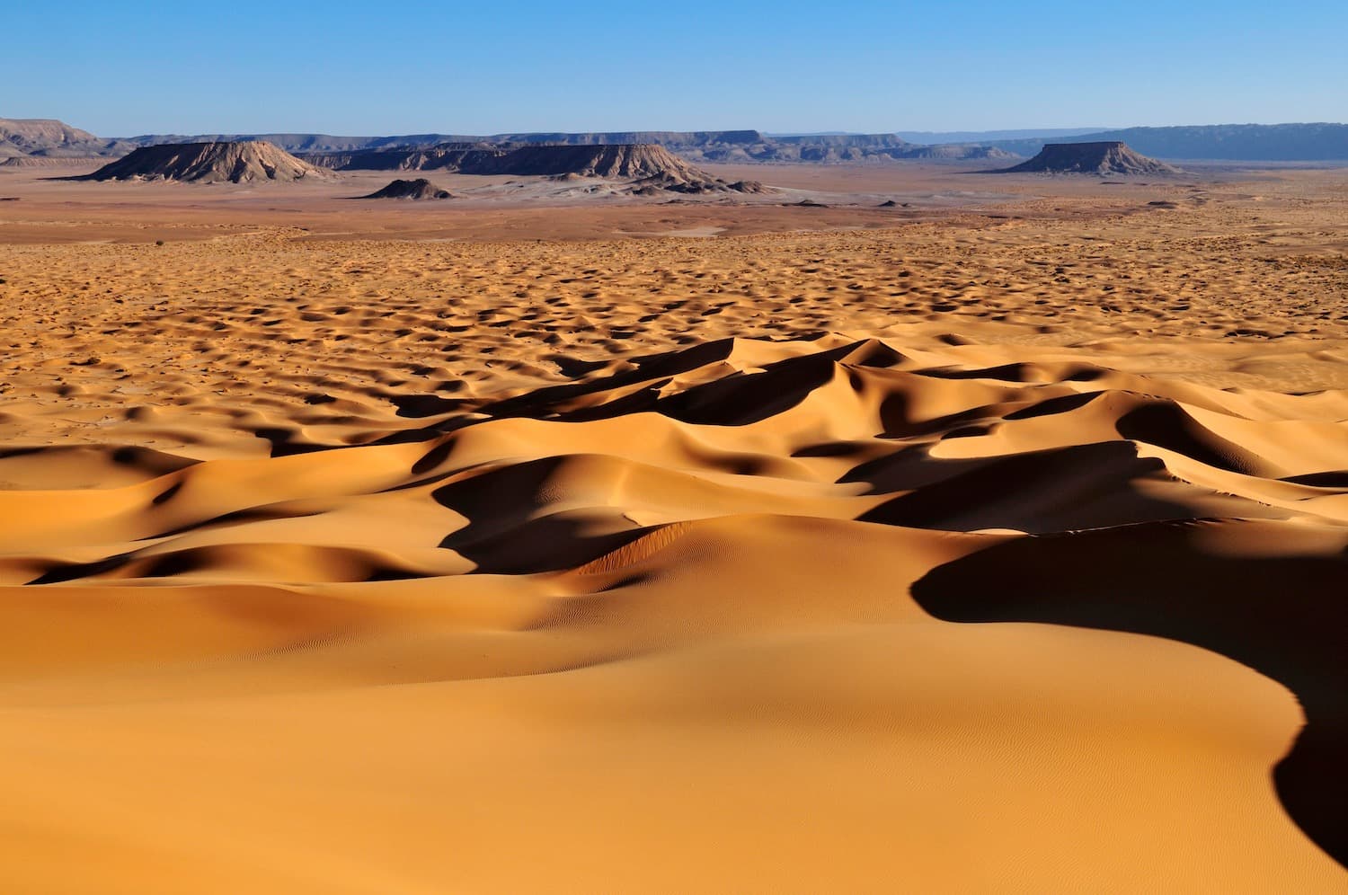 Unsuspected Magic of Tassili N'Immidir