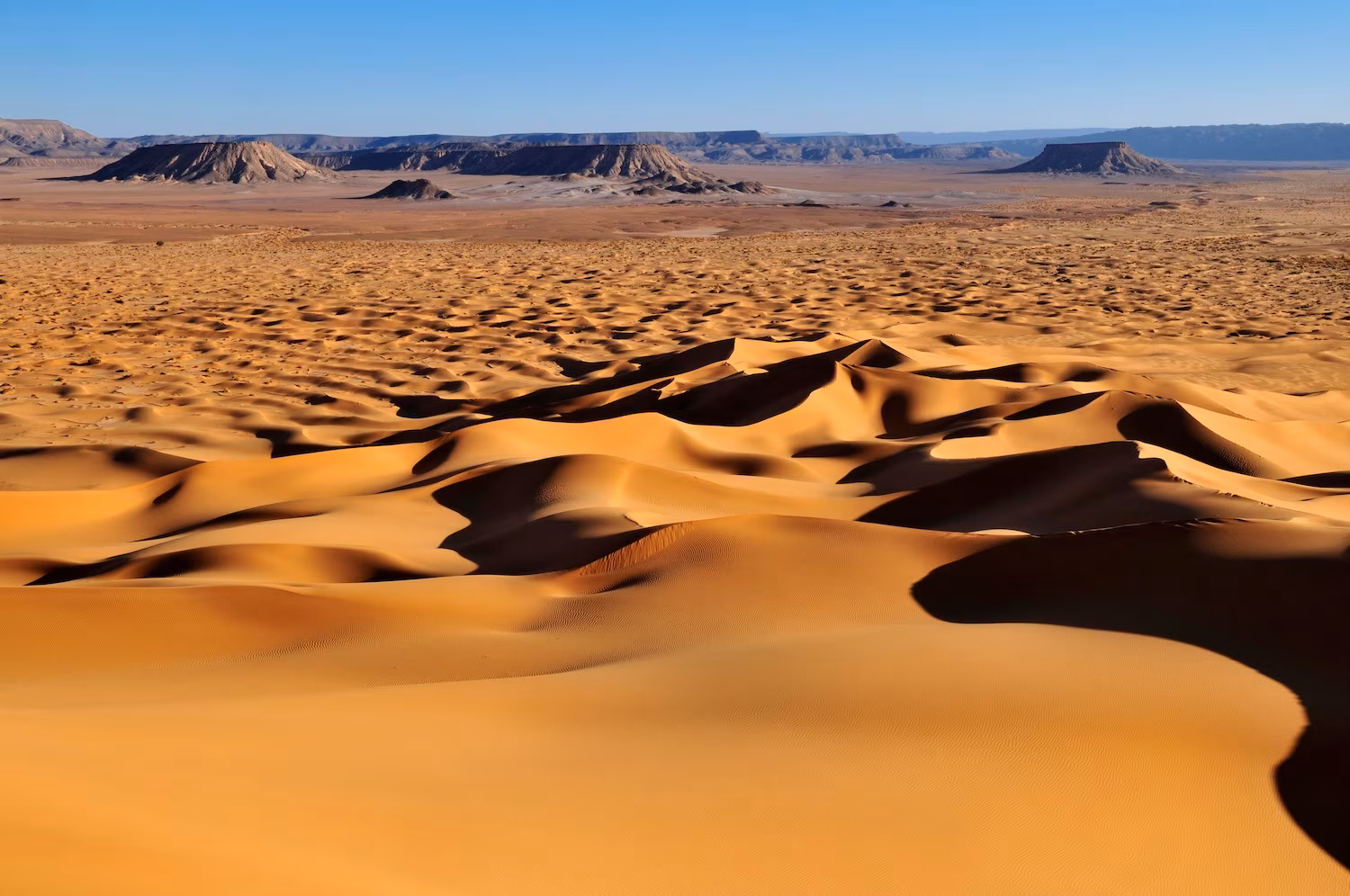 Unsuspected Magic of Tassili N'Immidir