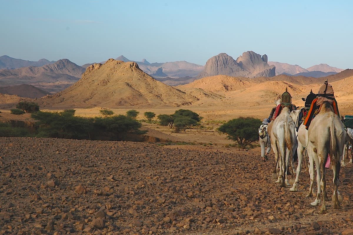 Camel trek from Tamanrasset to Assekrem via Wadi Tanget and Aréchaoum