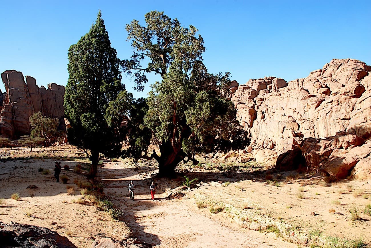 In the land of the Kel Medak, from Sefar, Tamghit to Jabbaren