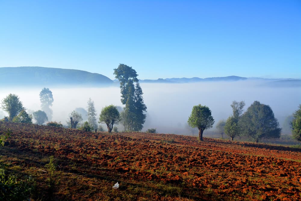Golden Triangle and trekking in Shan State
