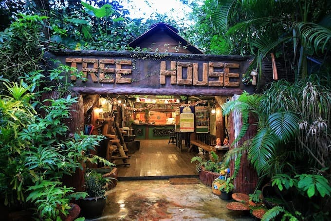 Khao Sok Tree House Resort