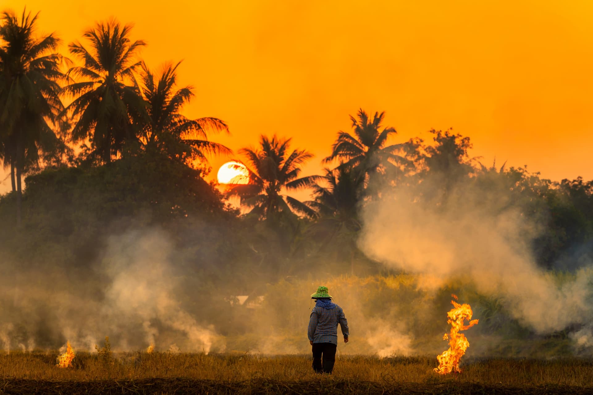 Thailand's Burning Season: When Does It Occur and How to Avoid It?
