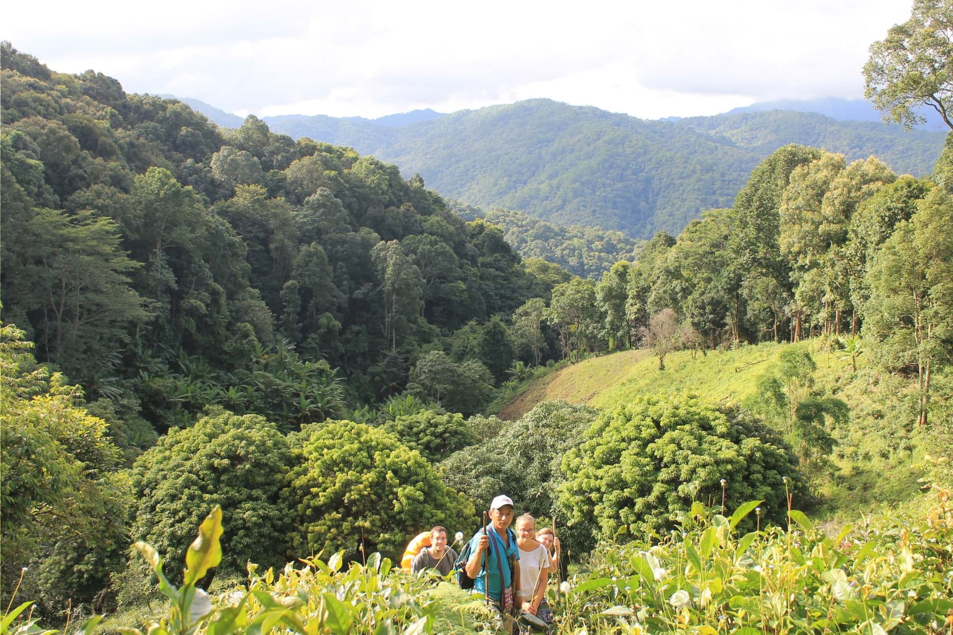 3 Hiking Sites Near Chiang Mai