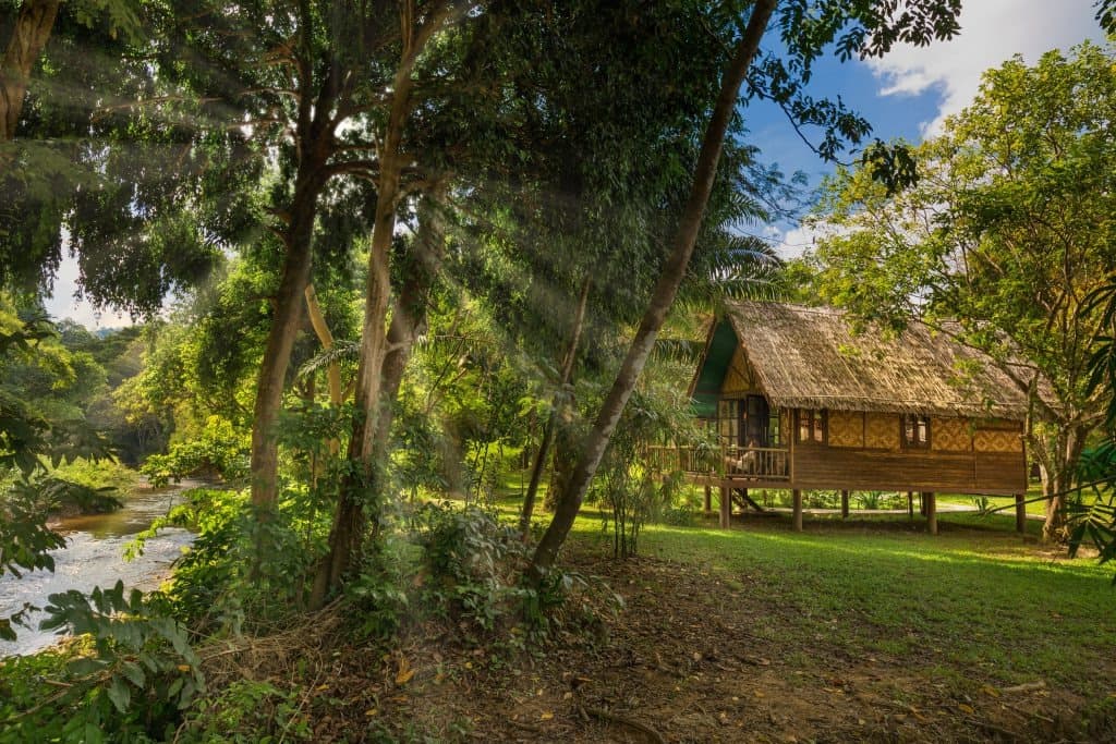 Our Jungle Camp