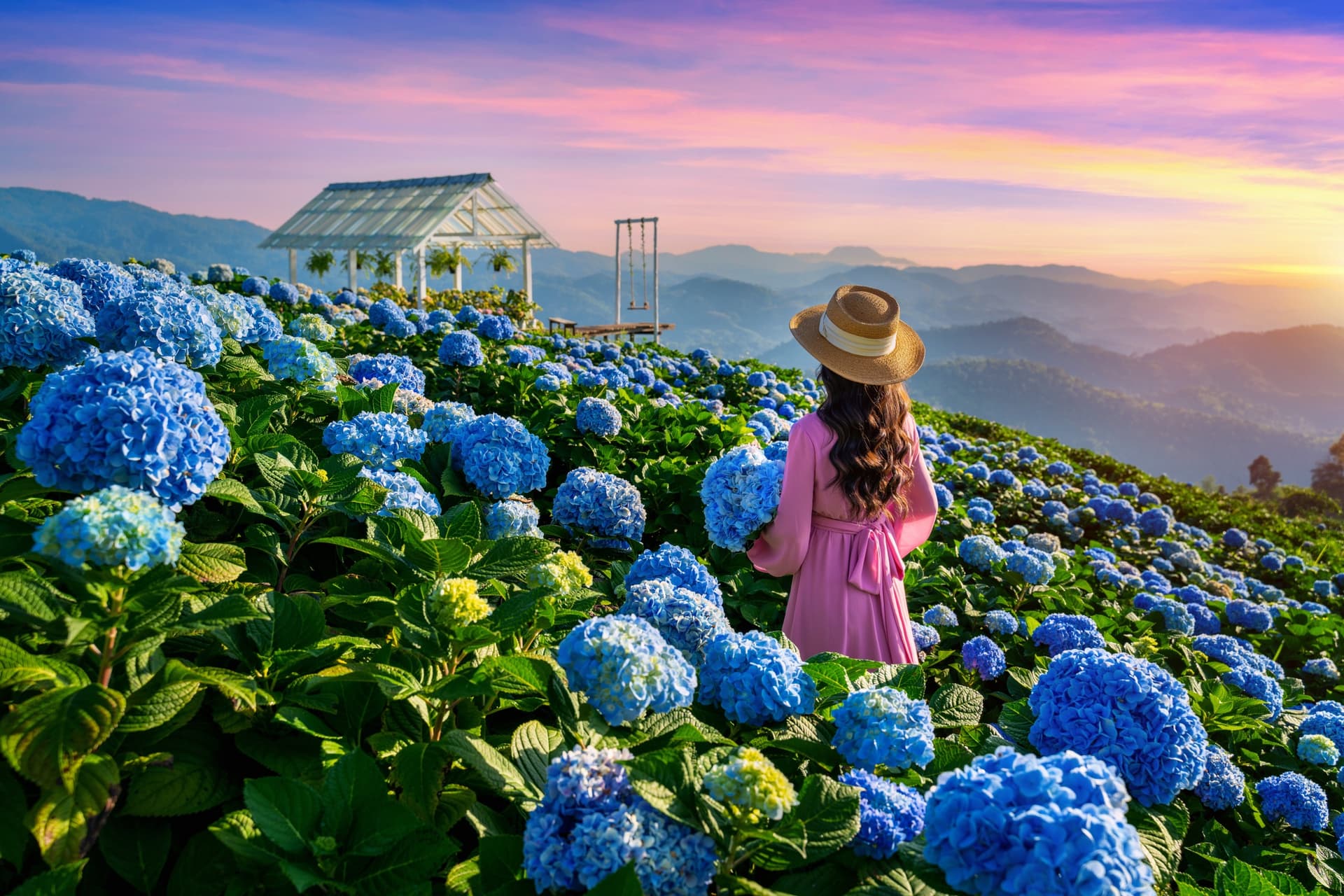 Chiang Mai or Chiang Rai: Which City to Choose?
