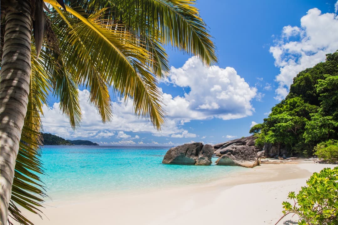 Everything You Need to Know About Excursions to the Similan Islands