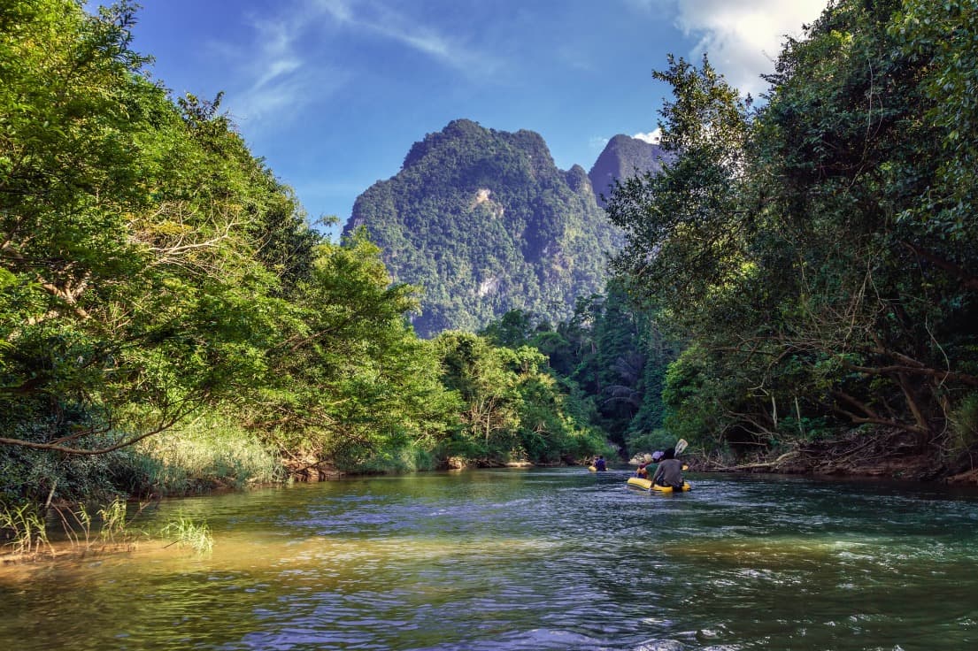 Wildlife Protection in Thailand: 5 Uplifting Conservation Stories