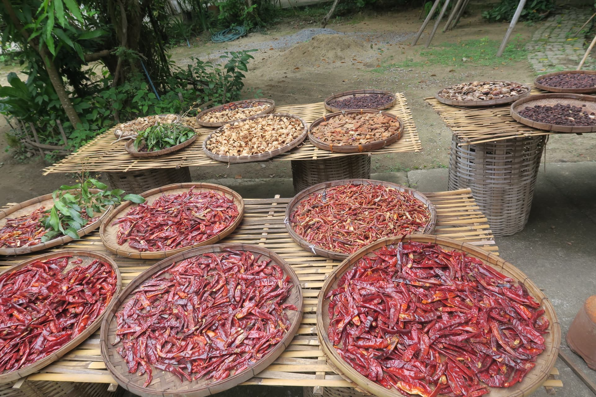 Thai Cooking Class