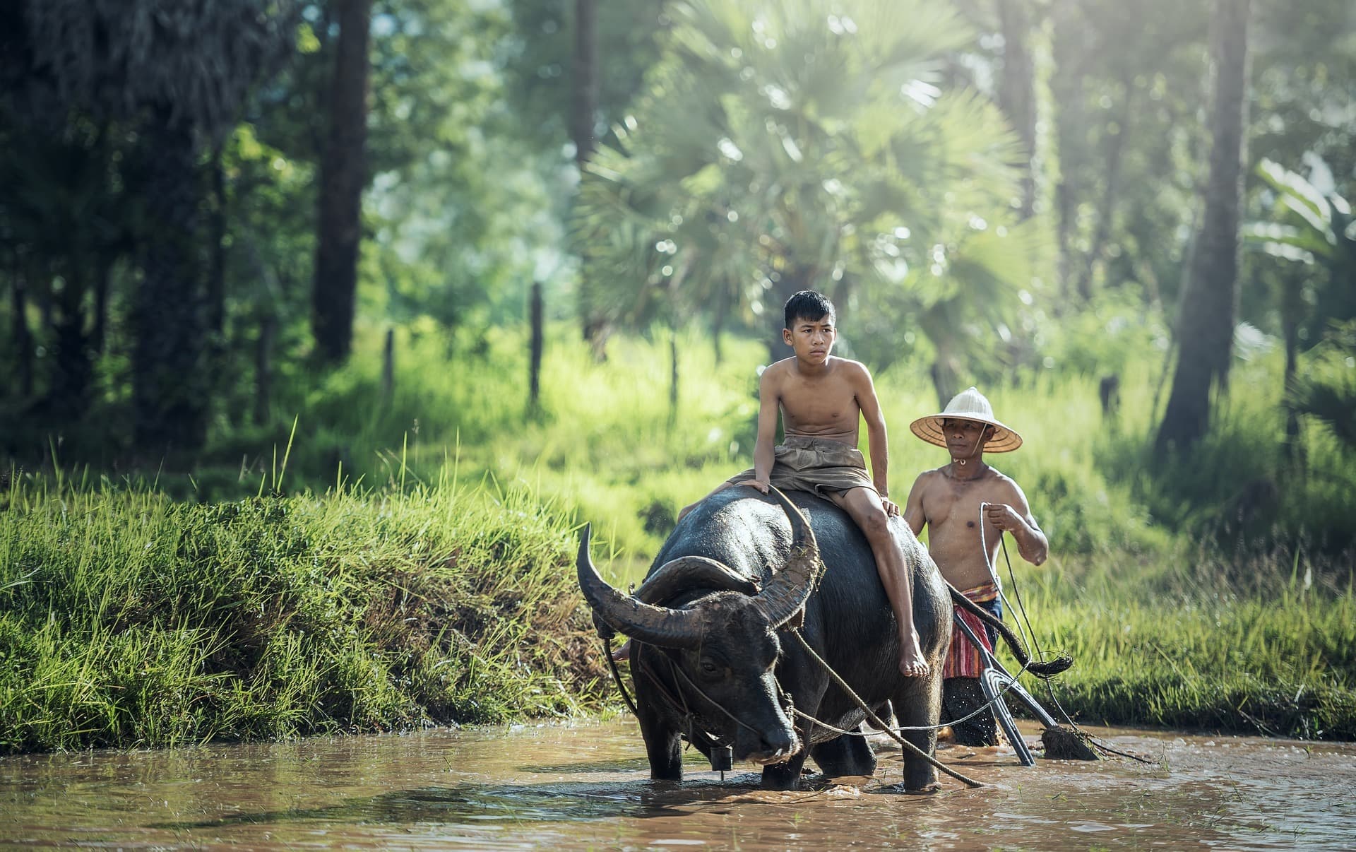 Thailand Differently