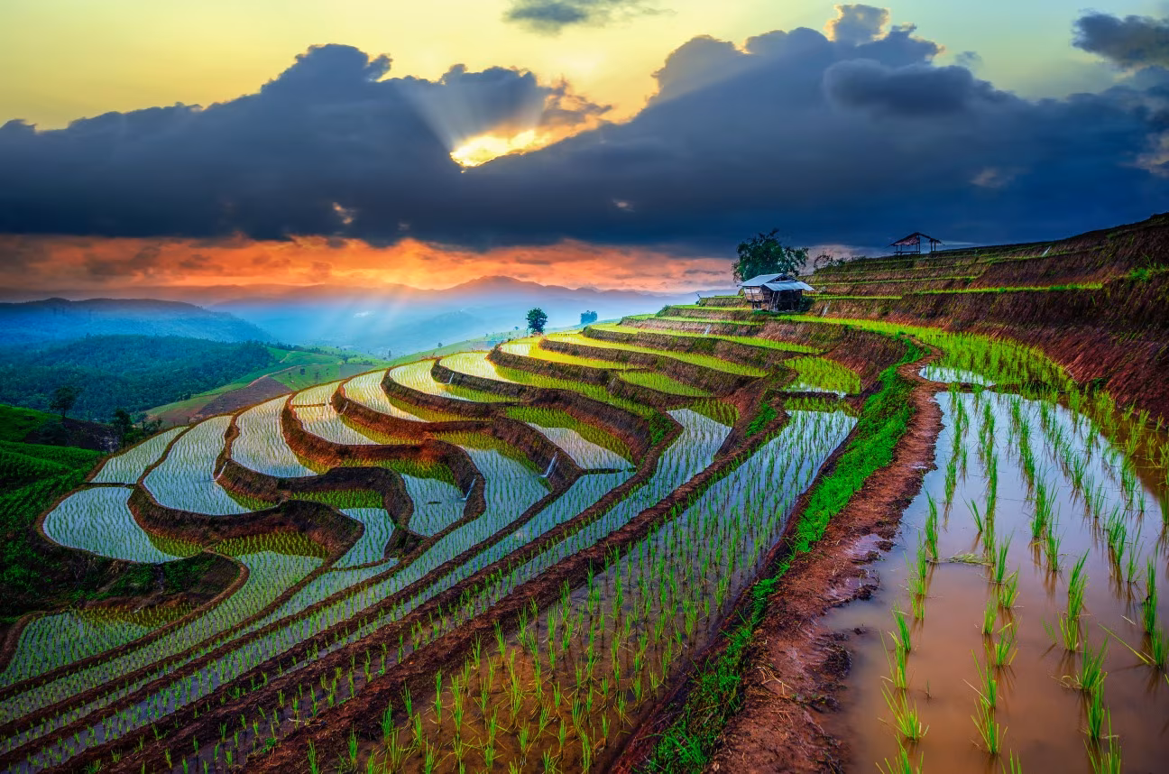 Thailand in Summer