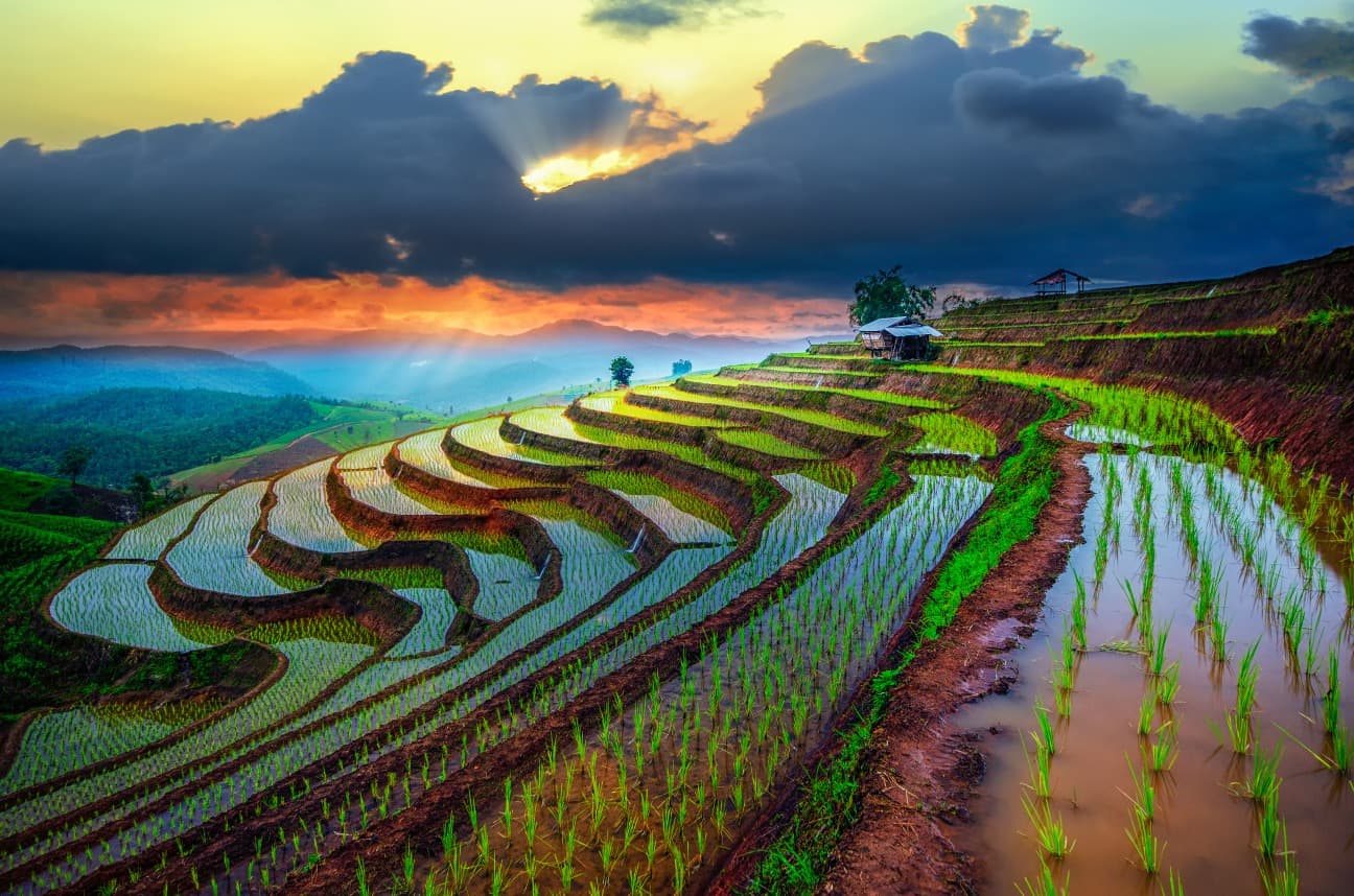 La Thaïlande en été