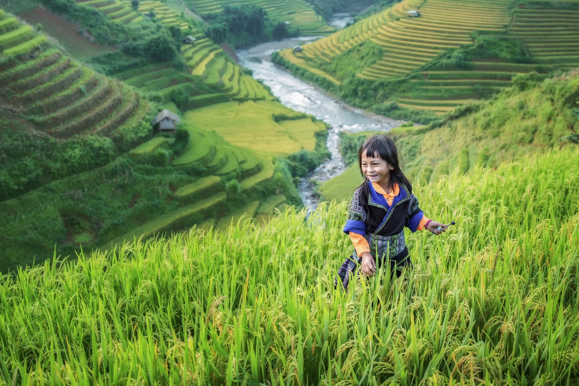 Mekong River Journey: Thailand & Laos in Small Group